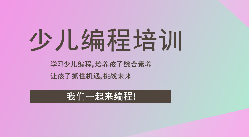 编程