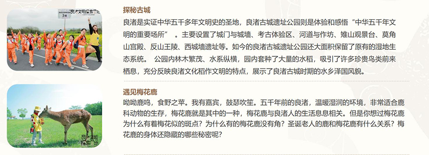 雅恩