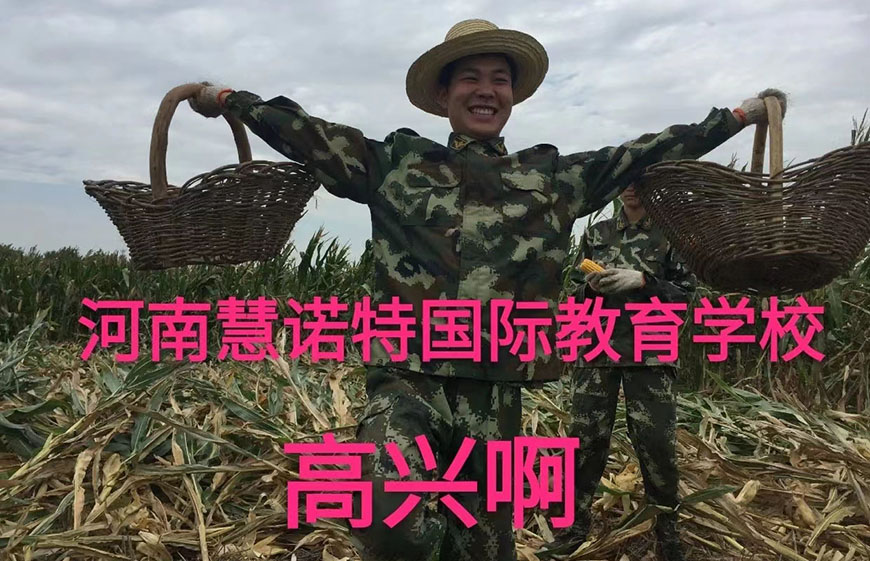 慧诺特叛逆