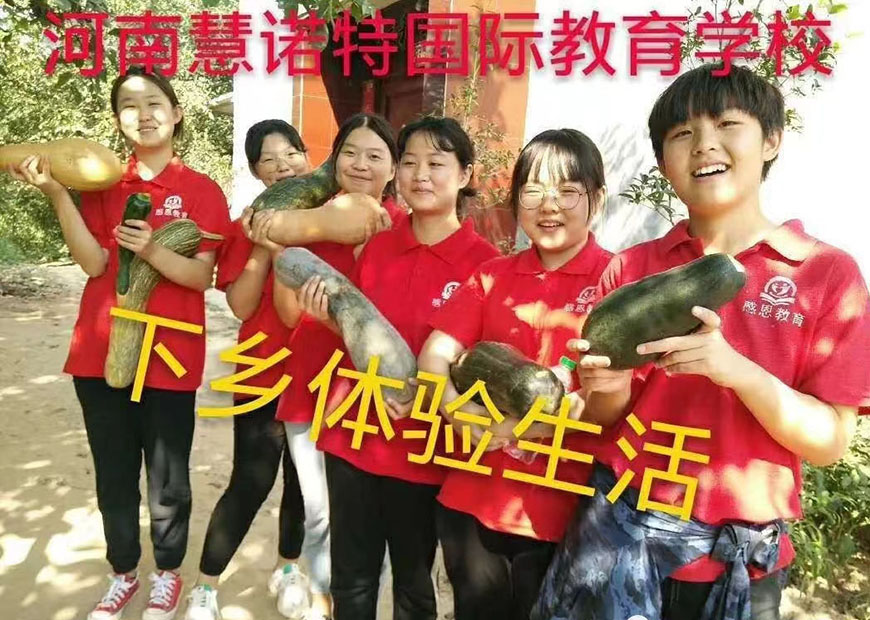 慧诺特叛逆