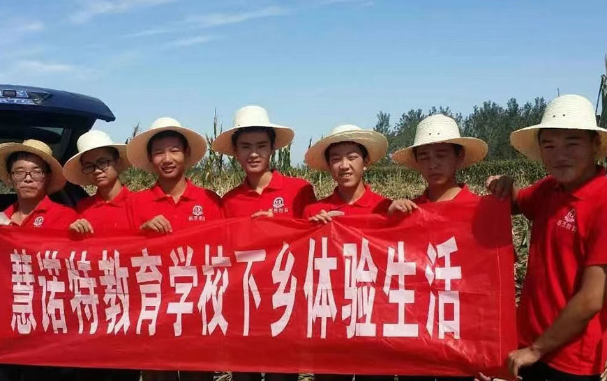 慧诺特叛逆