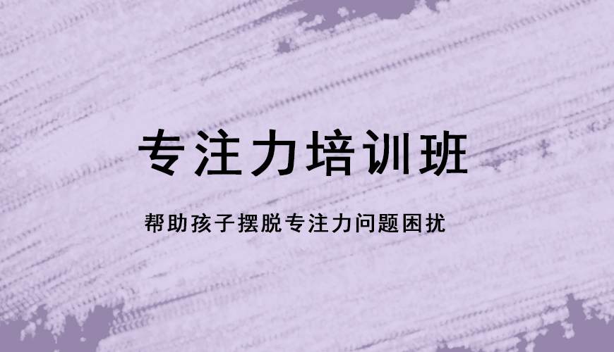 博沃思专注力