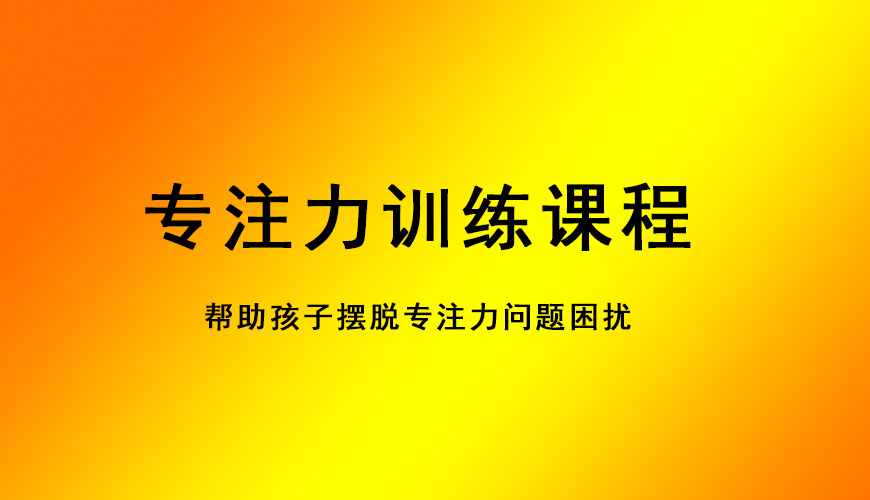 博沃思专注力