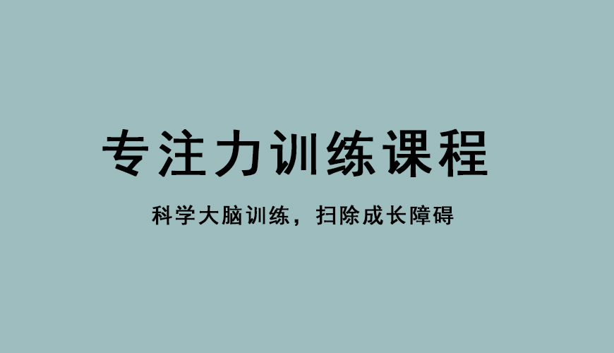 青岛四叶草专注力