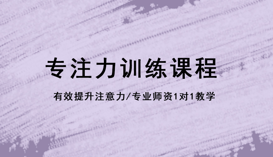 博沃思专注力