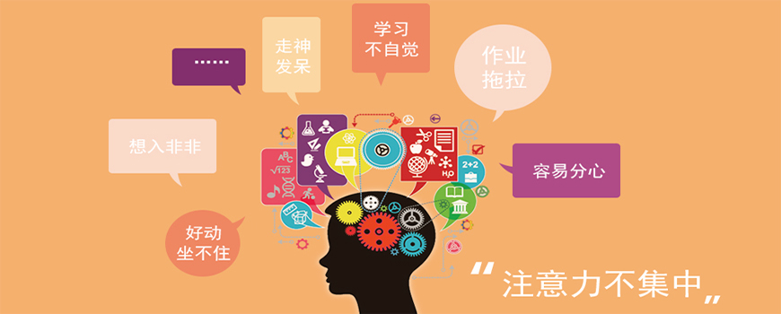 博沃思专注力
