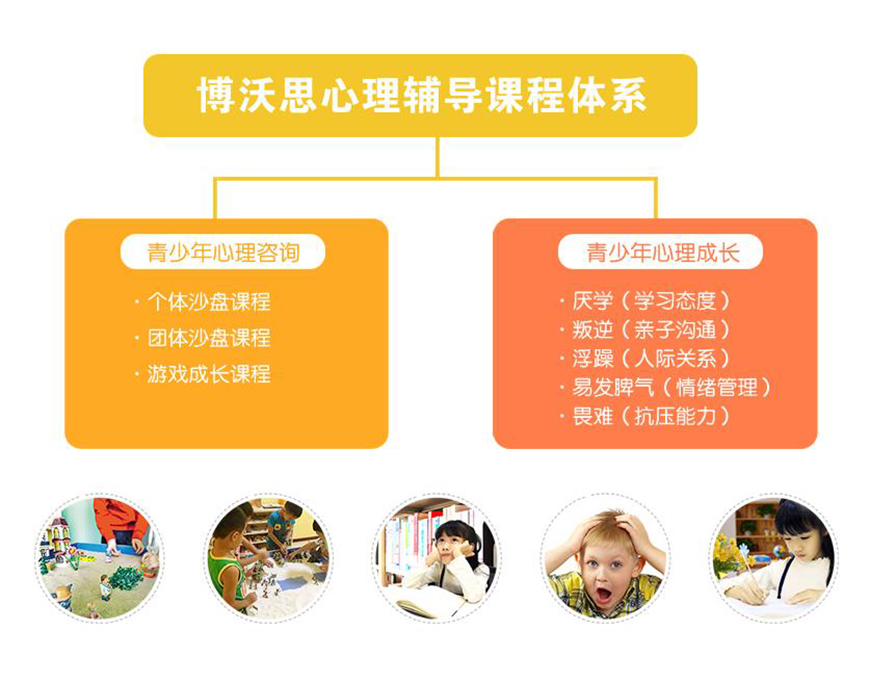博沃思专注力
