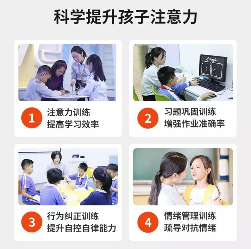 博沃思专注力