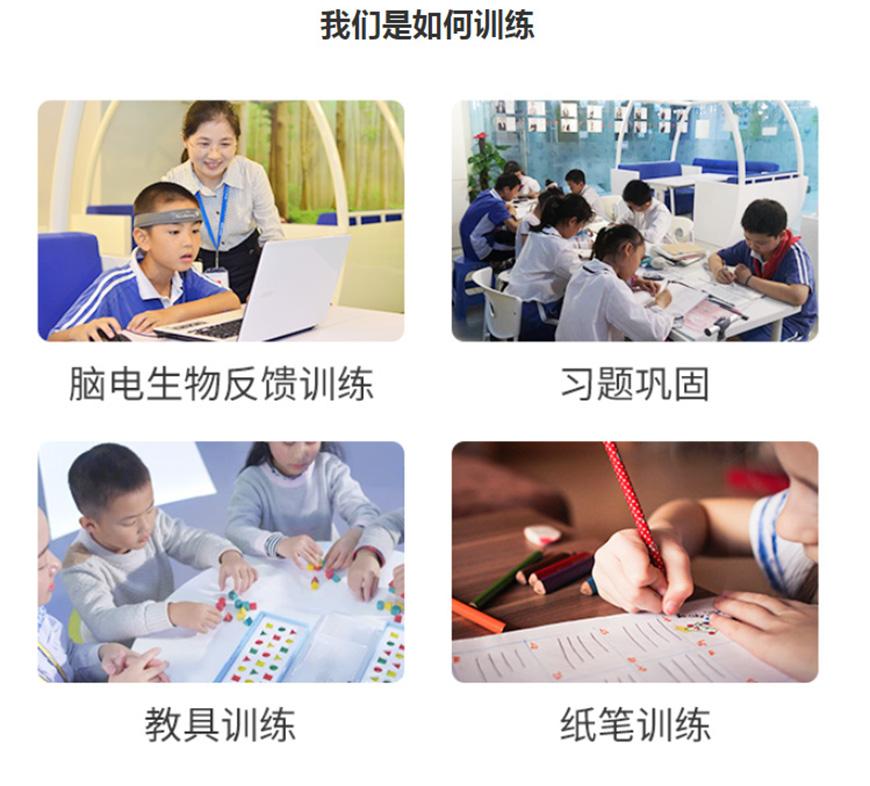 博沃思专注力