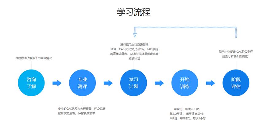 博沃思专注力