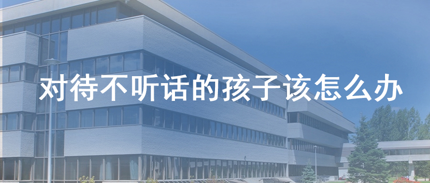 资料