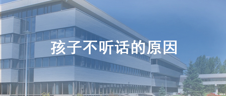 资料