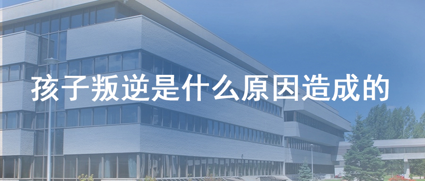 资料