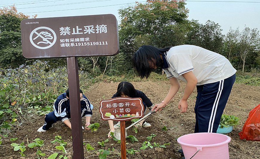 <"叛逆"