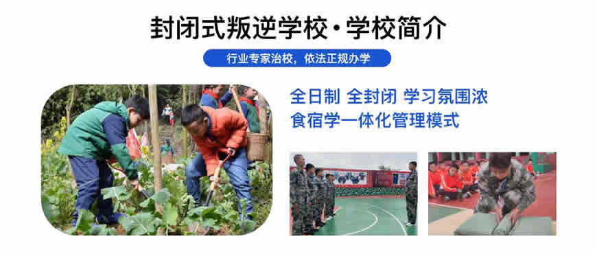 <"叛逆"