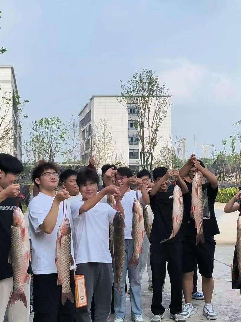 高中辅导