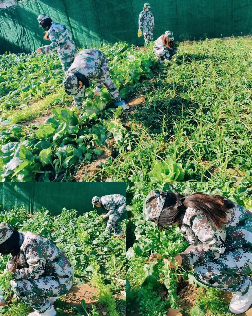 涵创教育