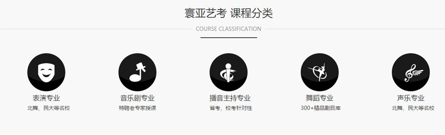 寰亚艺考