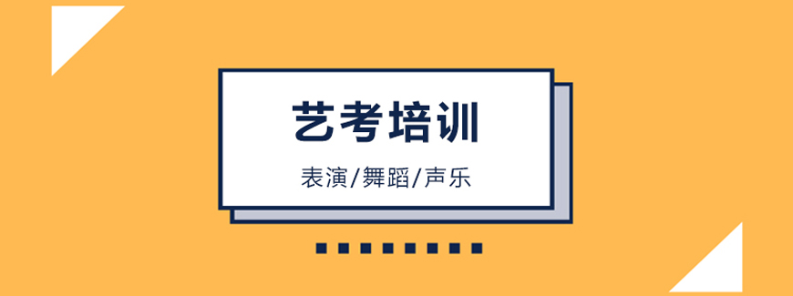寰亚艺考