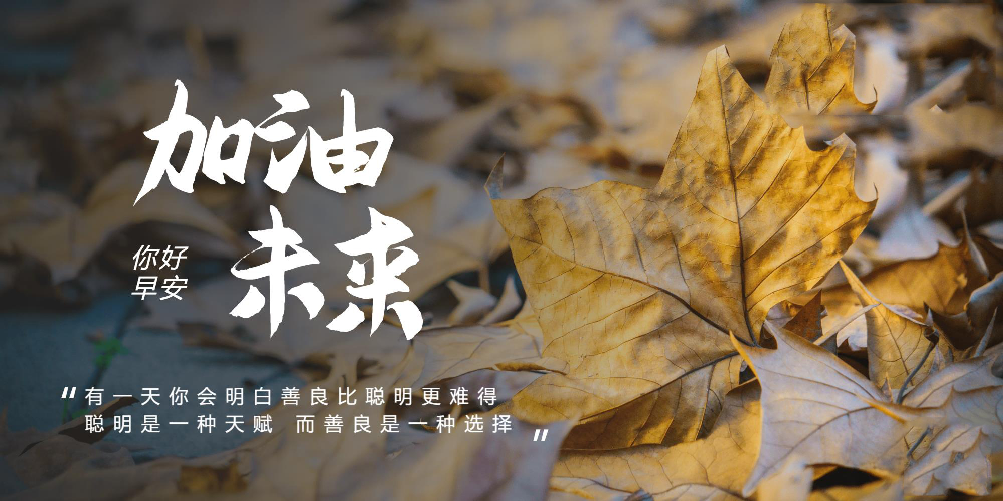 高中