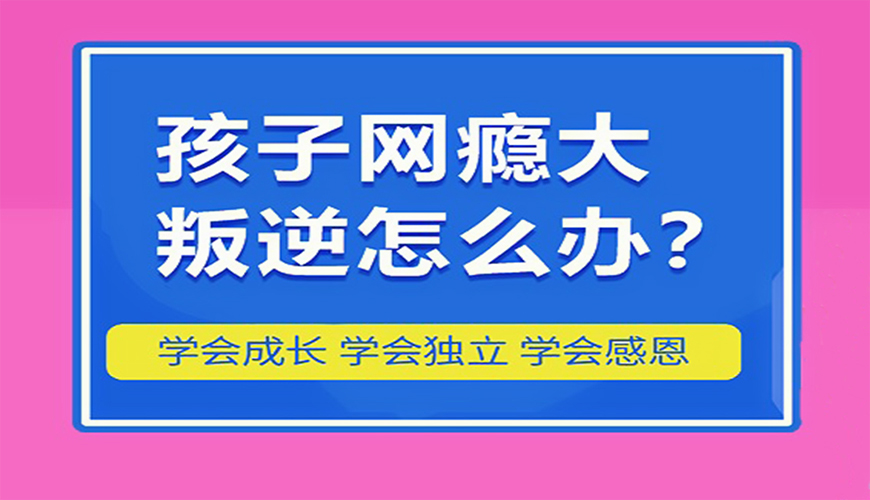叛逆