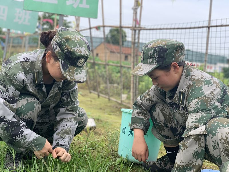 青少年教育
