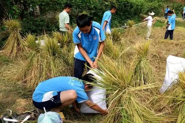 青少年教育
