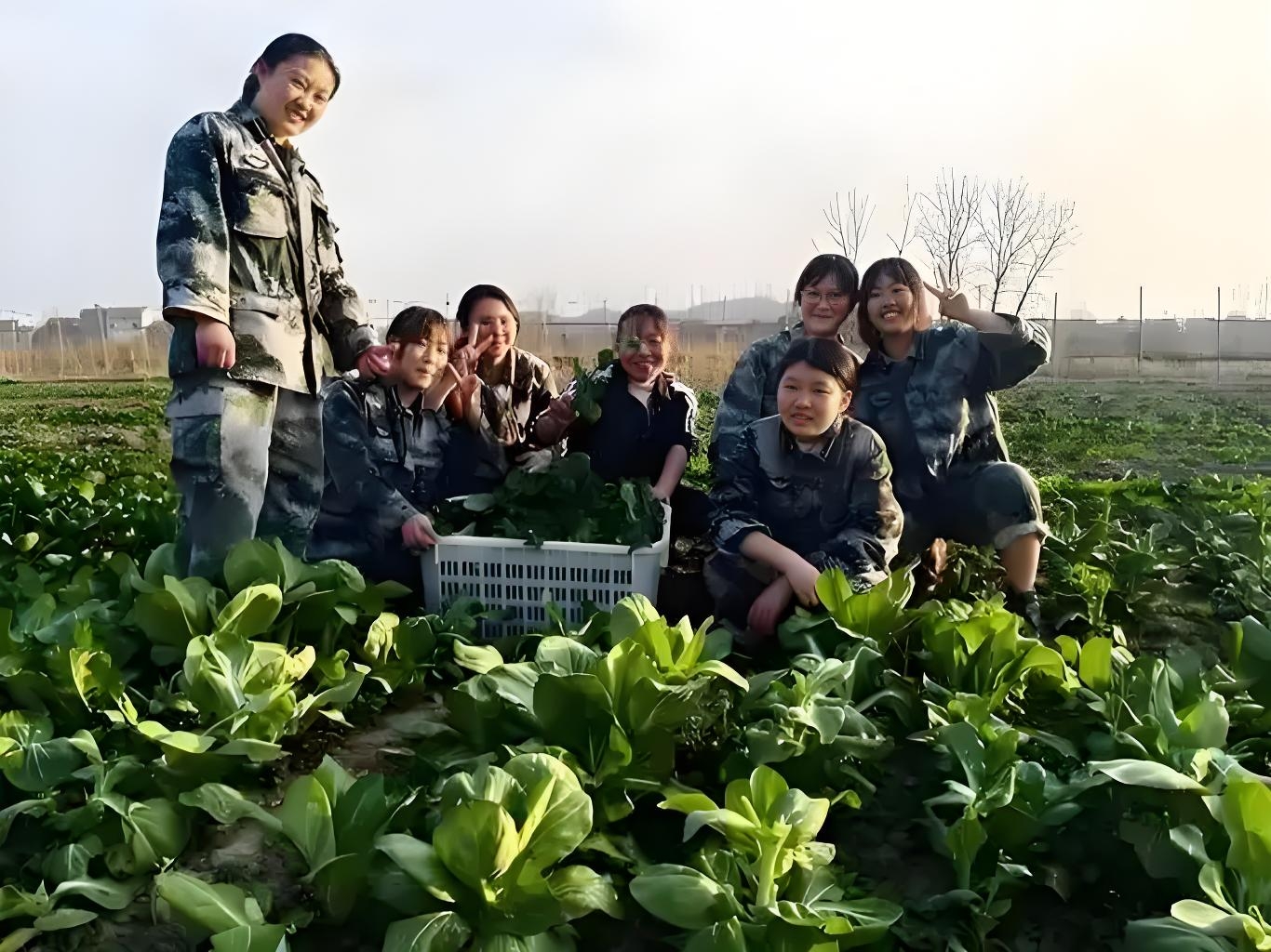 青少年教育