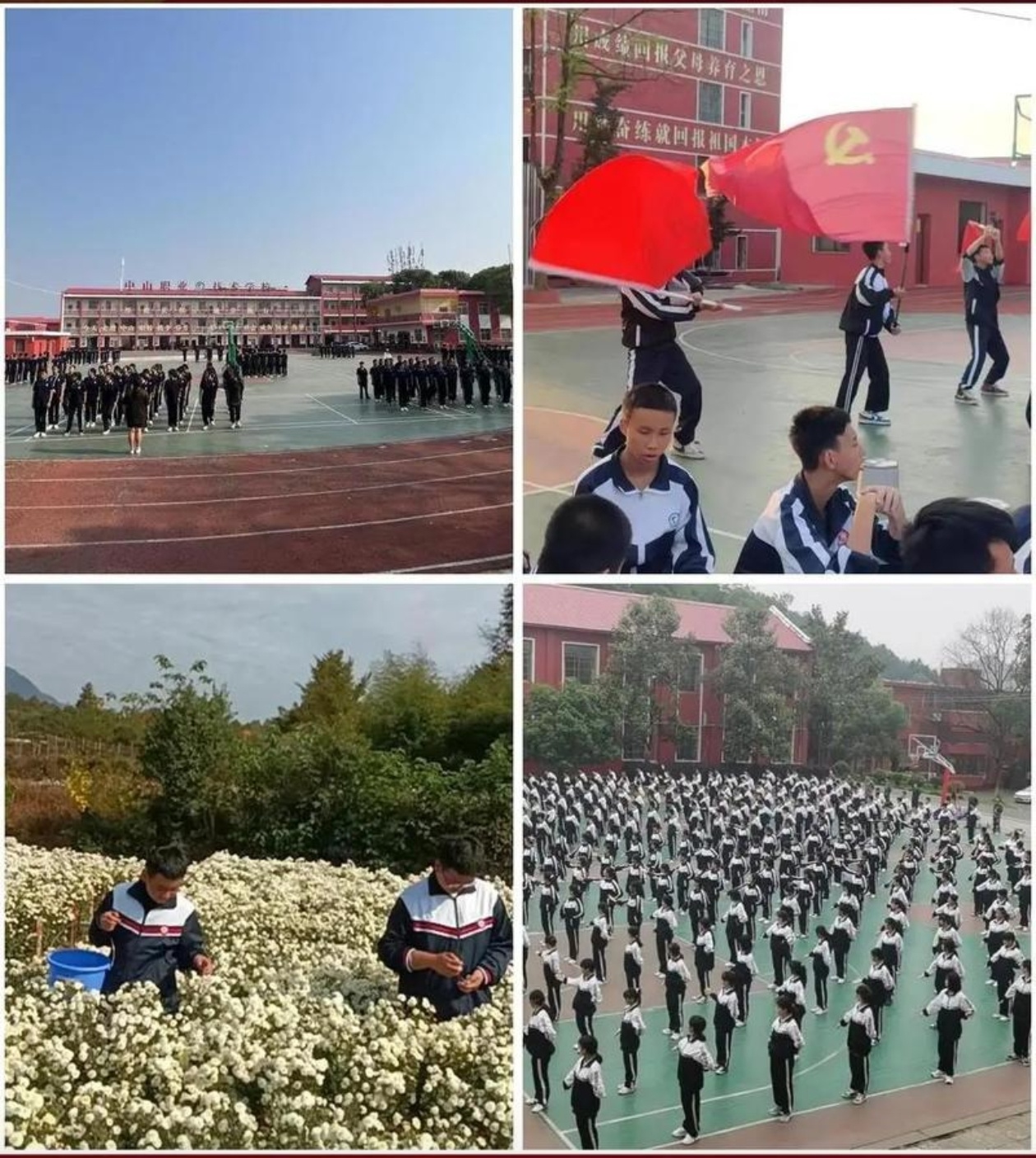 青少年教育