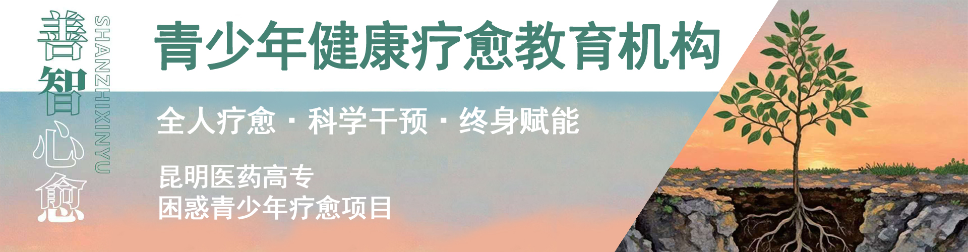 善智心愈青少年健康疗愈教育机构